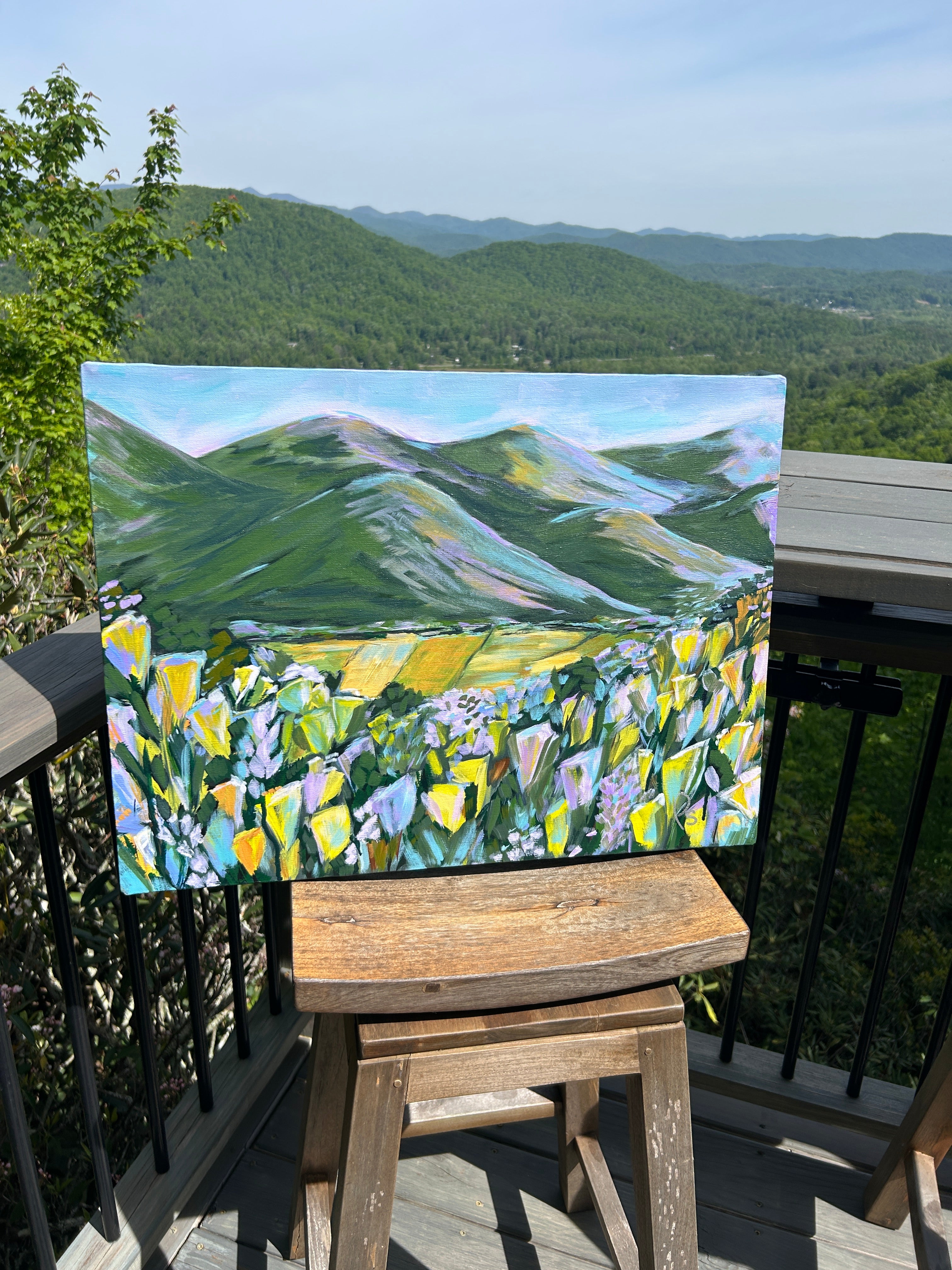 Lavender Blue Ridge Mountains View 24 x 18