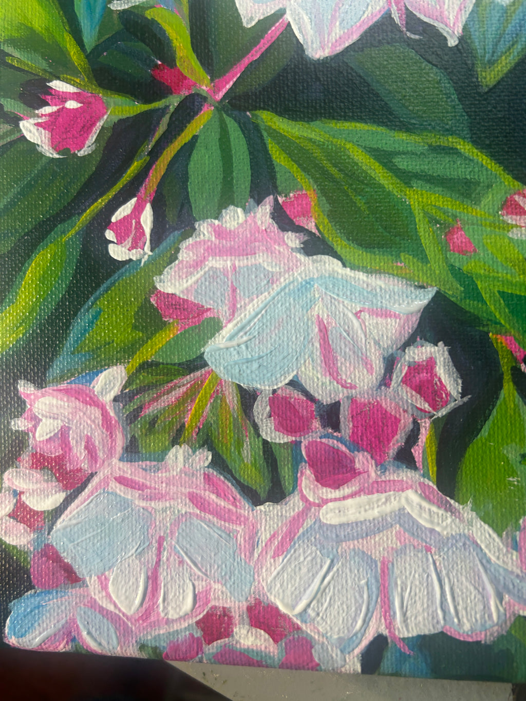 Little Mountain Laurel 8x10