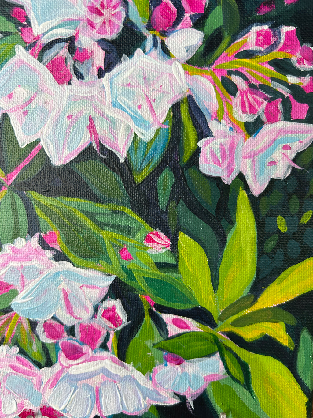 Little Mountain Laurel 8x10