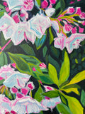Little Mountain Laurel 8x10