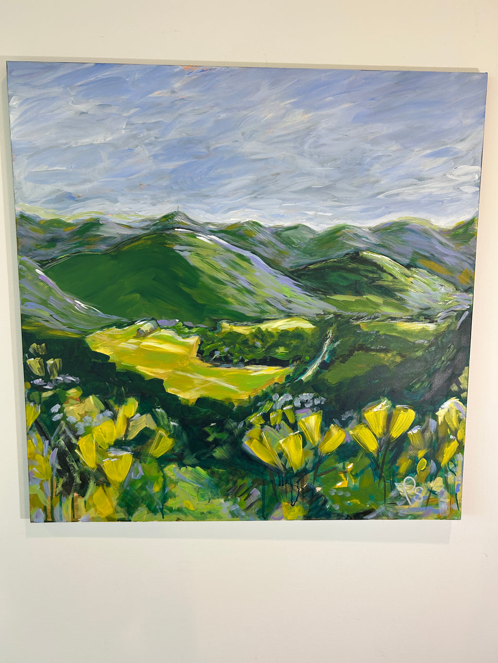 Penrose Valley 30x30