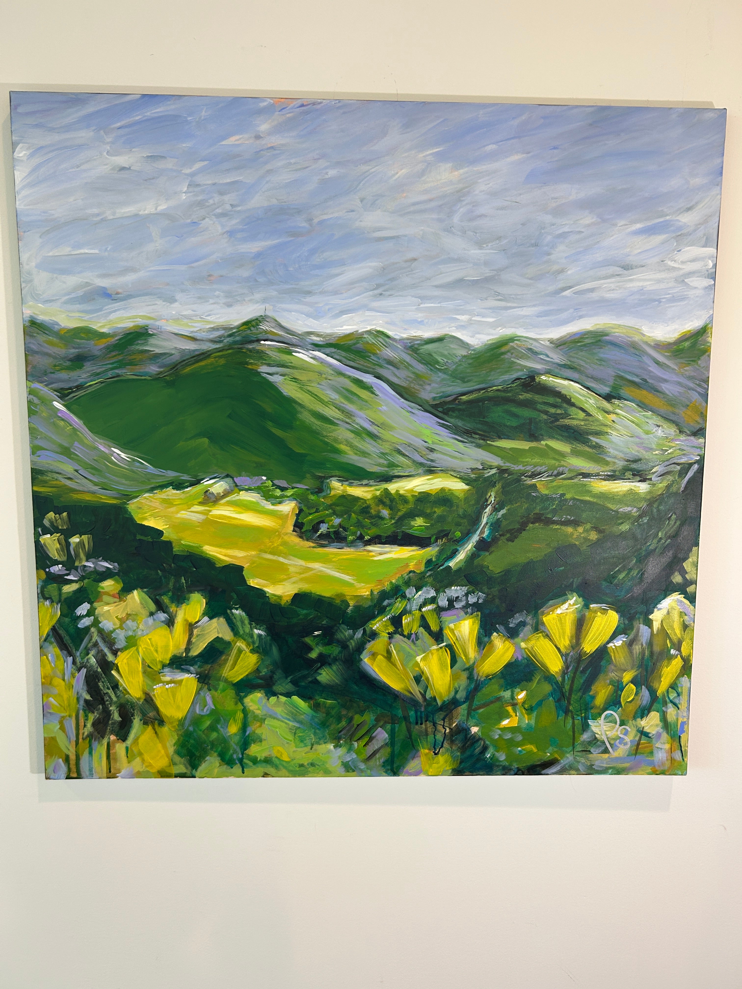 Penrose Valley 30x30