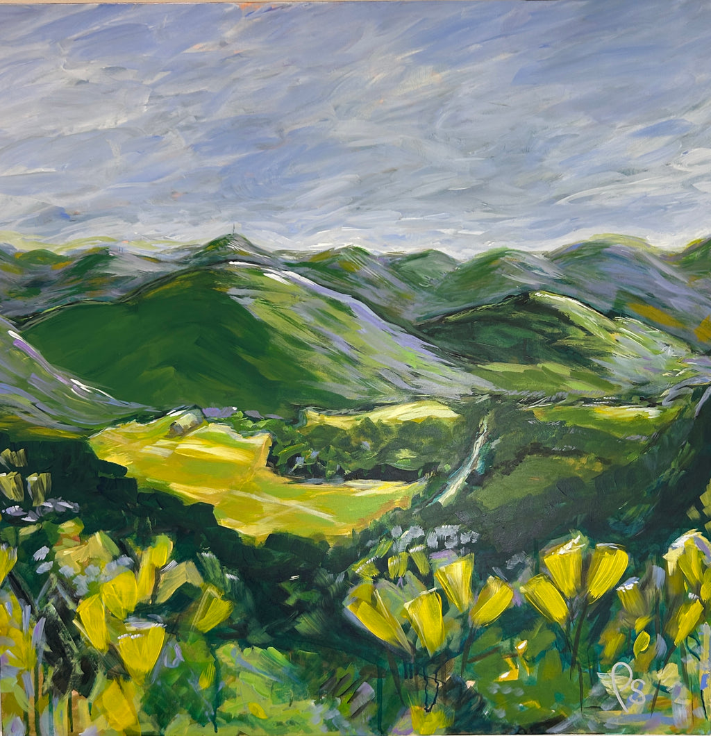 Penrose Valley 30x30