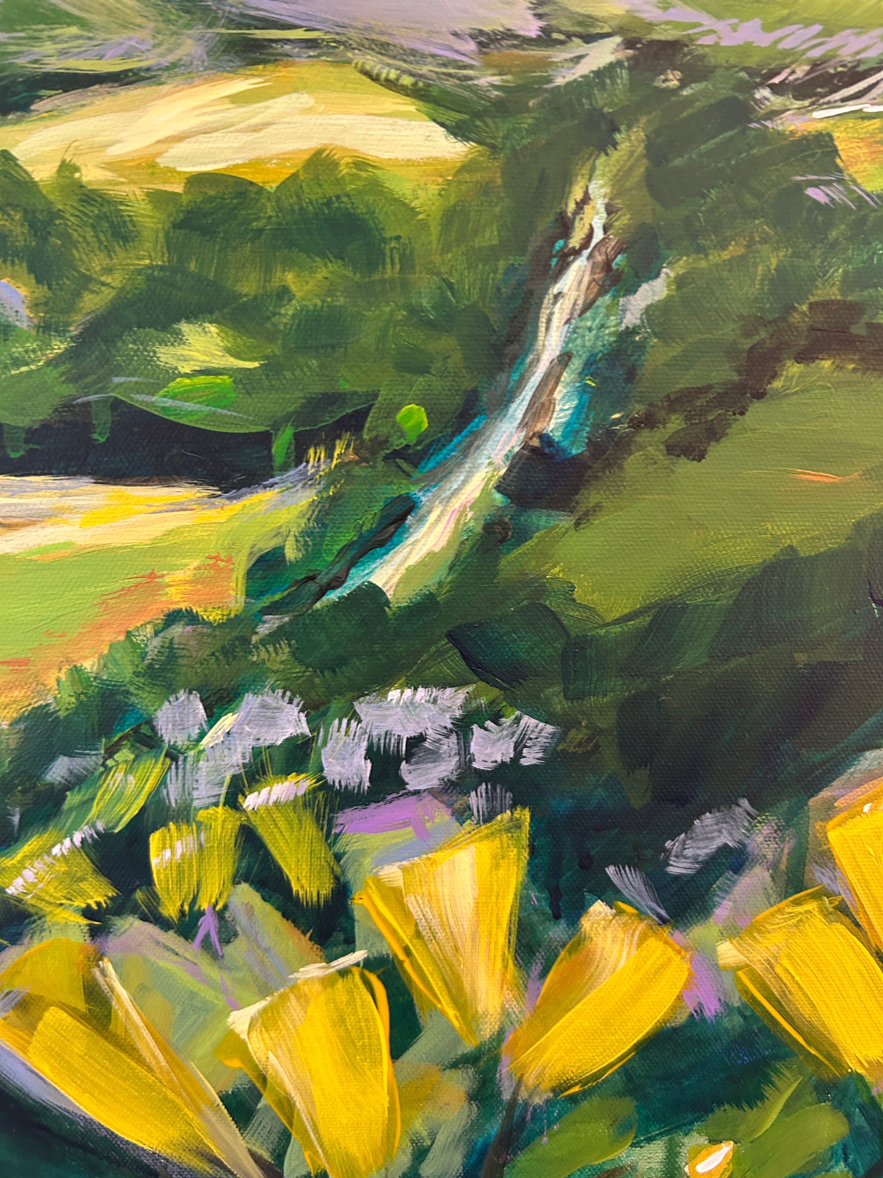 French Broad River detail