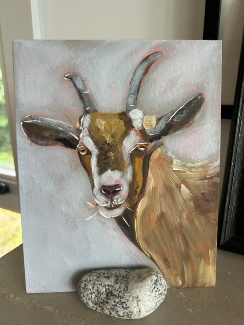 Little Goat