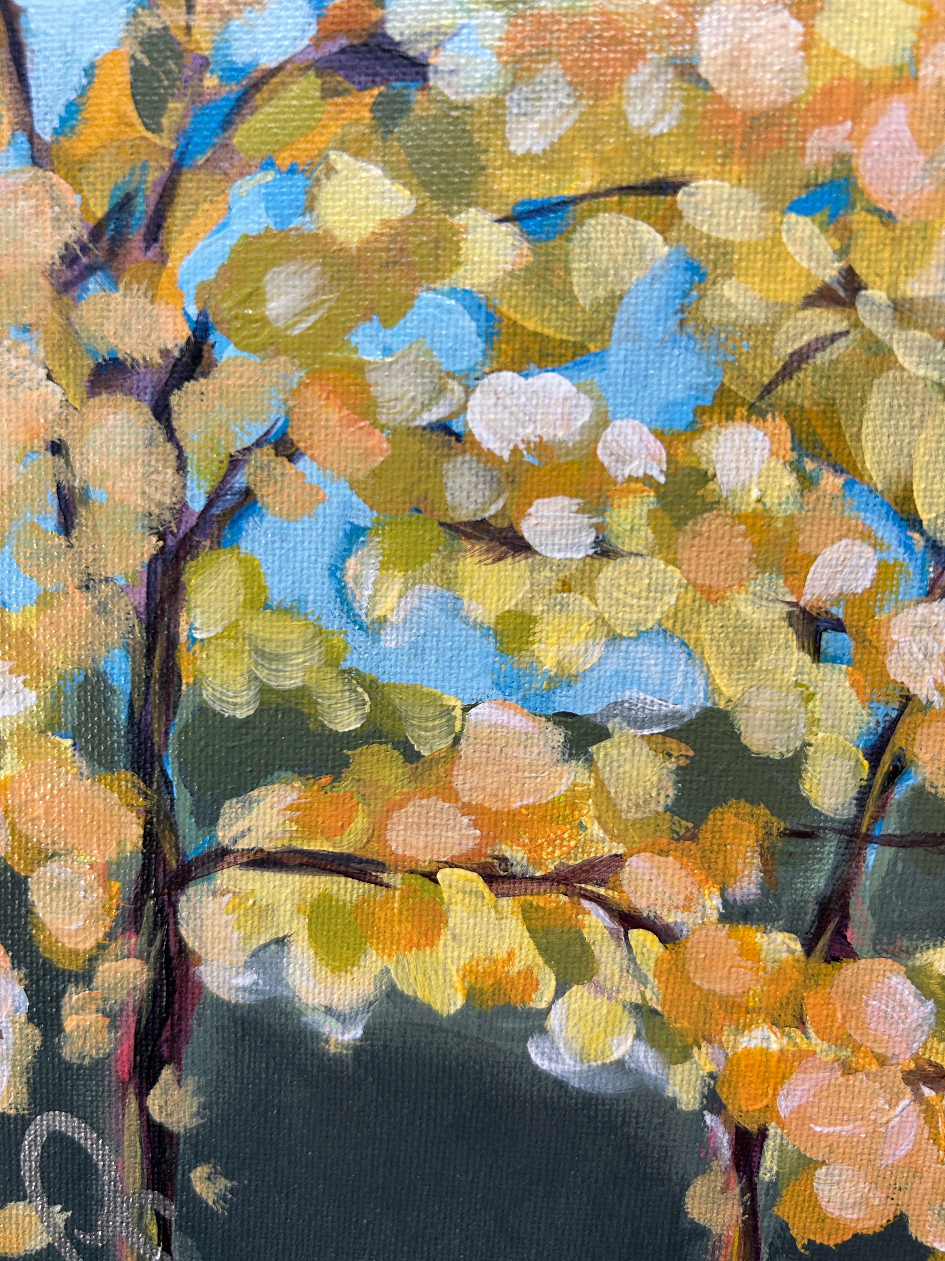 leaves and blue sky detail