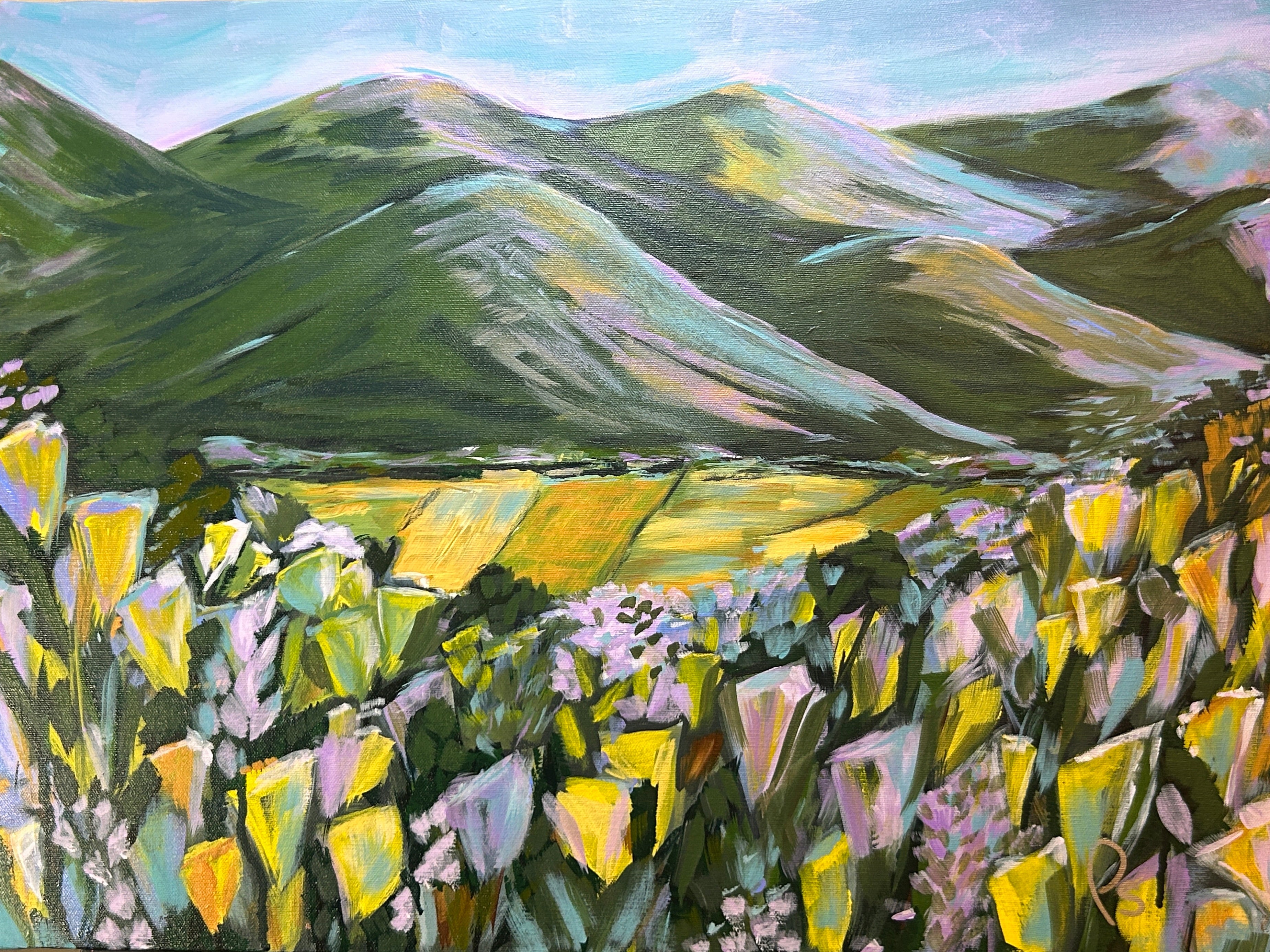 Lavender Blue Ridge Mountains View 24 x 18