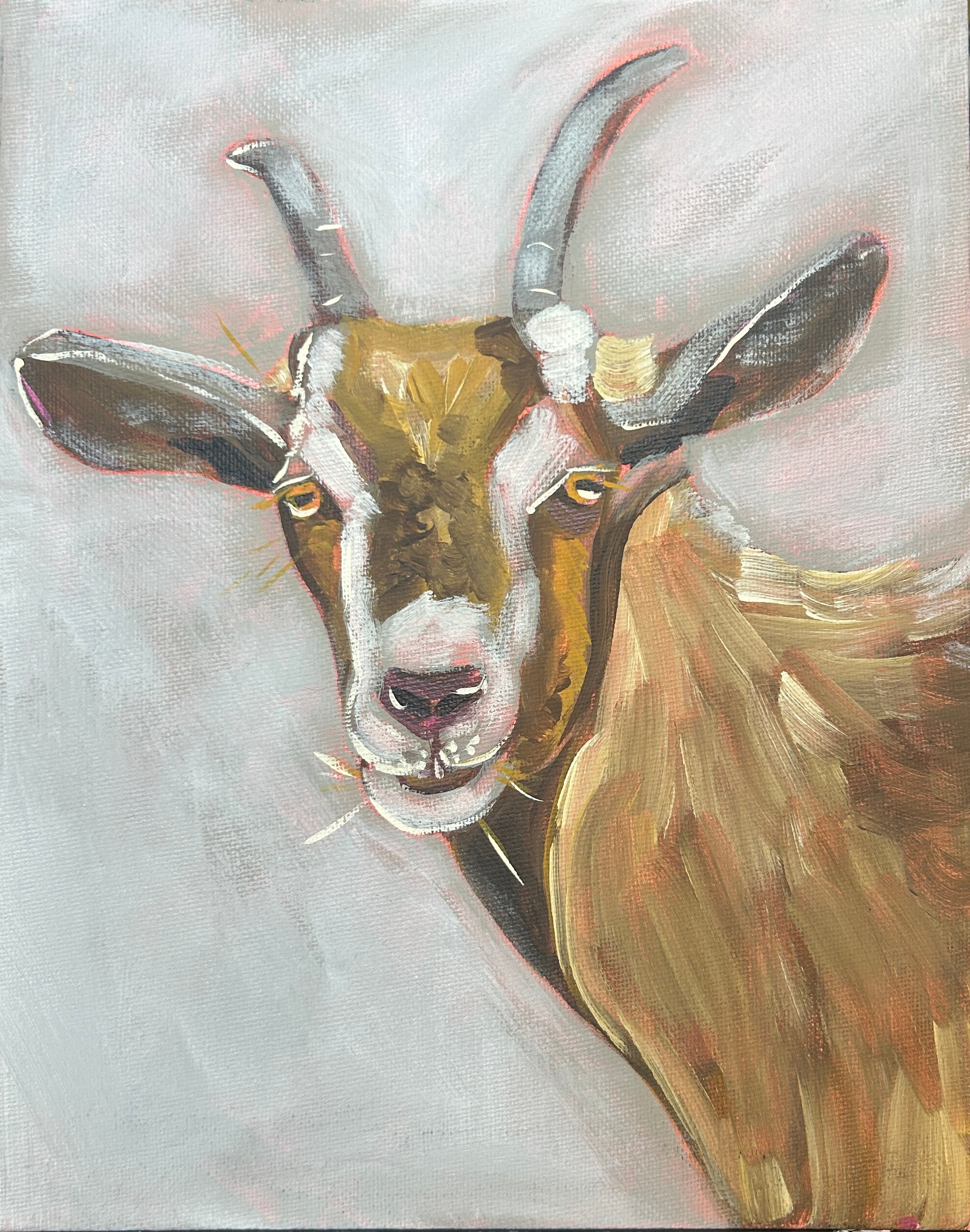 Little Goat 8x10