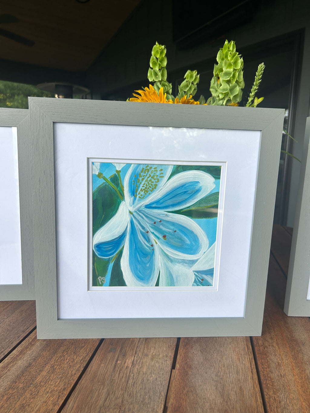 Rhododendron Series (set of three)