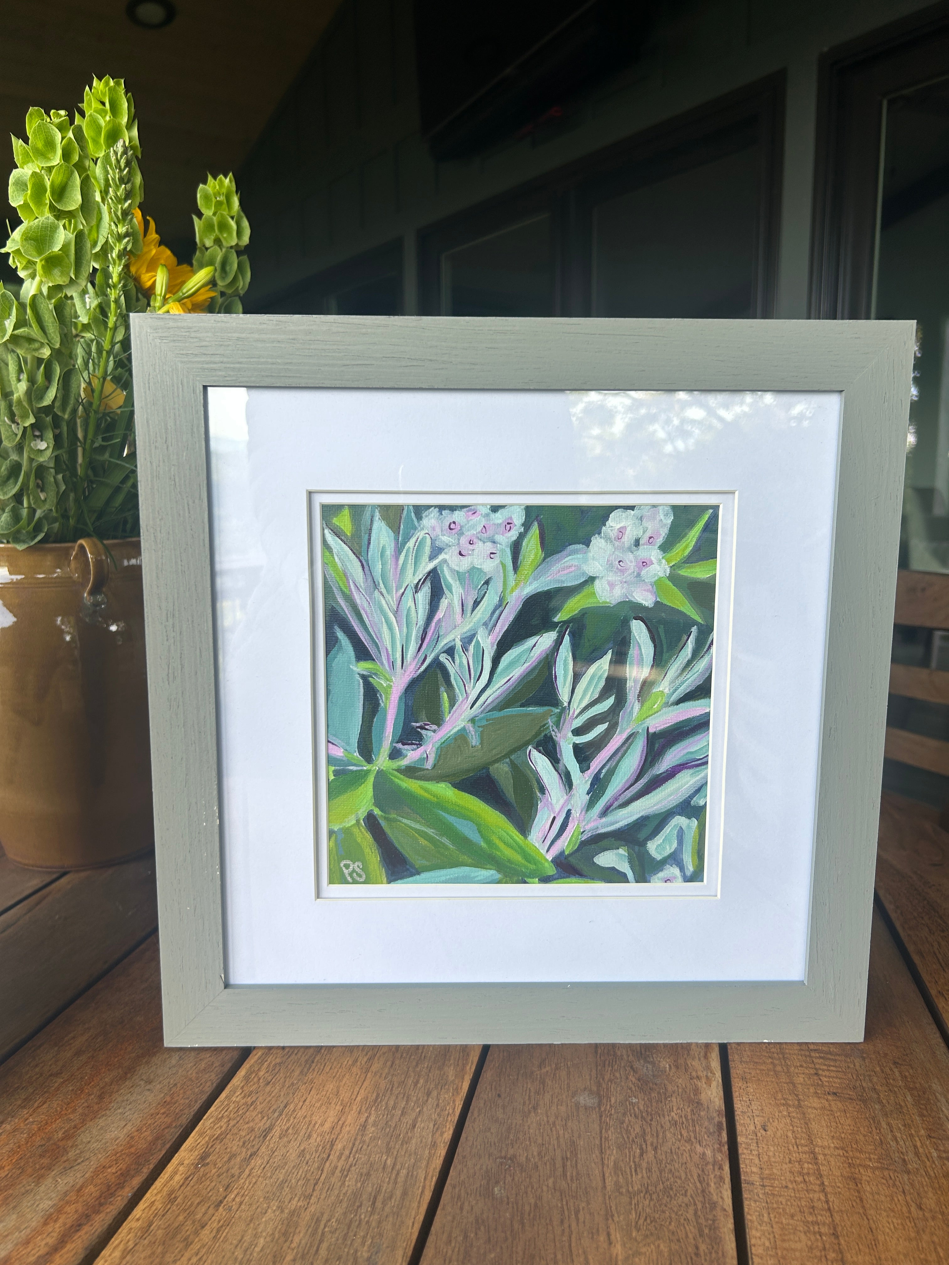 Rhododendron Series (set of three)