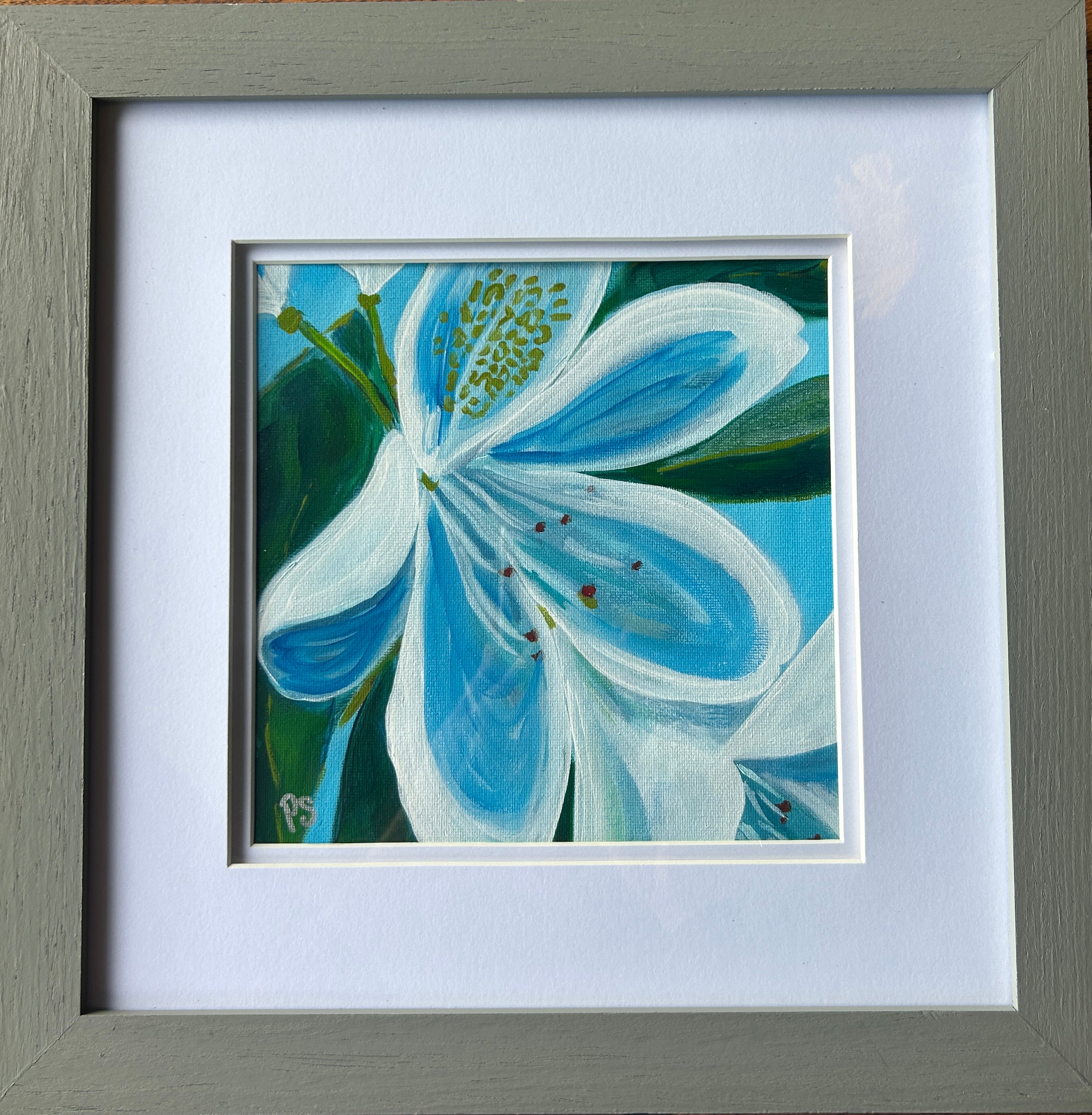 Rhododendron Series (set of three)