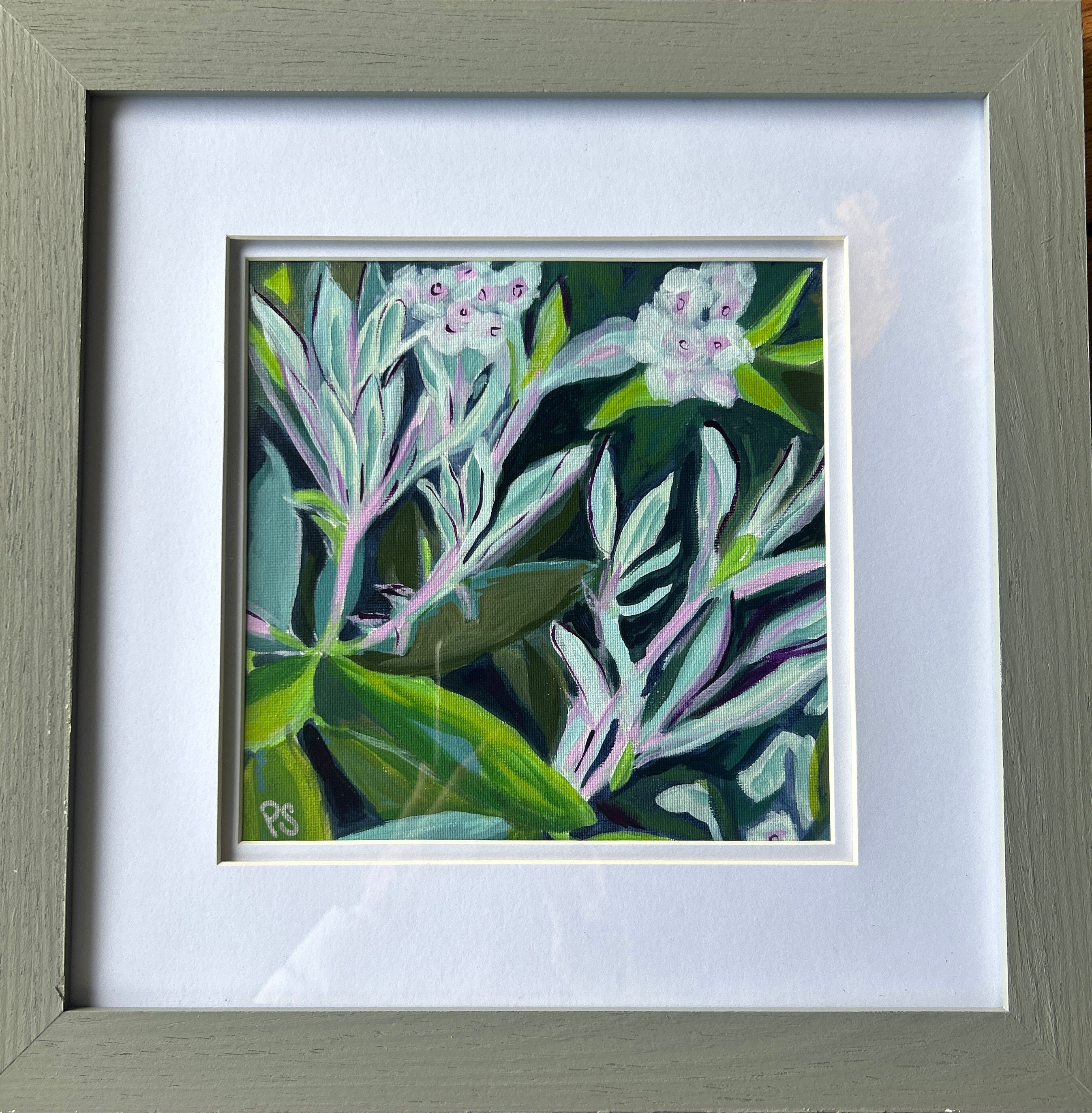 Rhododendron Series (set of three)